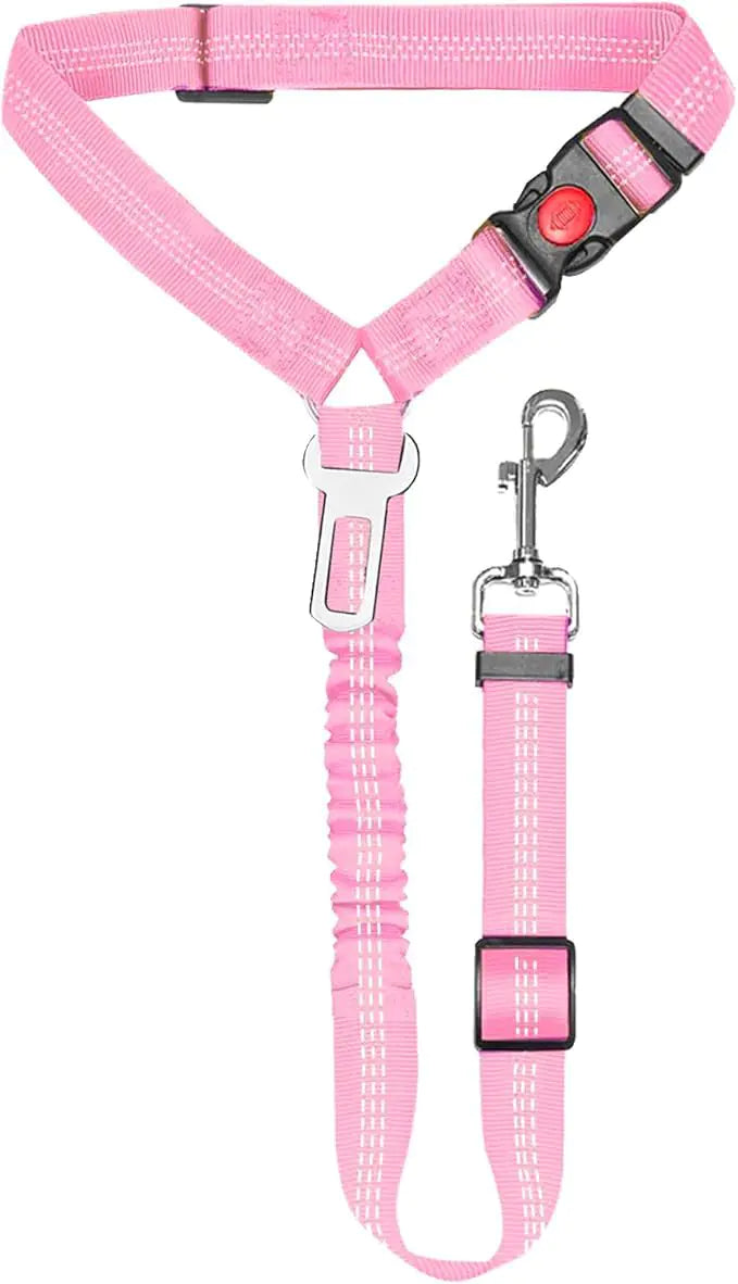 Nylon Dog Leash with Metal Buckle