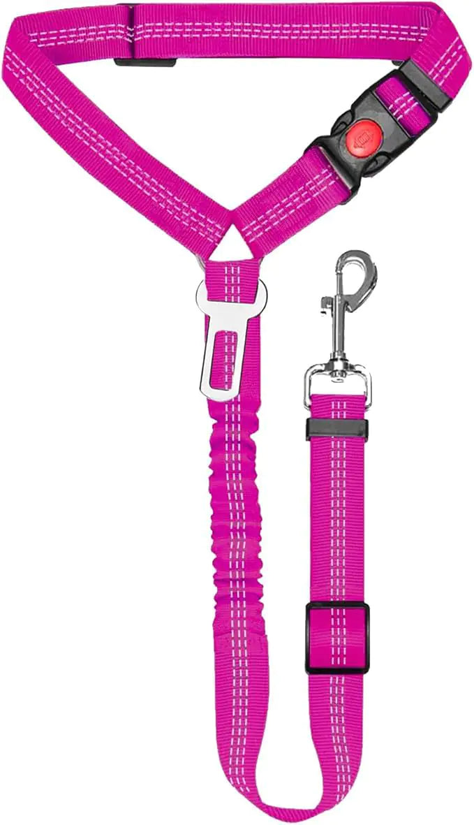Nylon Dog Leash with Metal Buckle