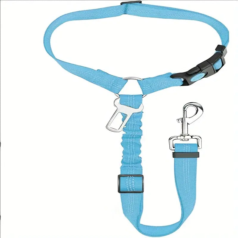 Nylon Dog Leash with Metal Buckle