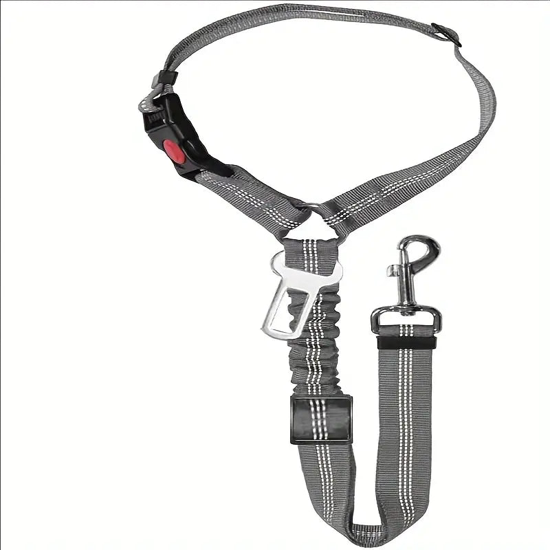 Nylon Dog Leash with Metal Buckle