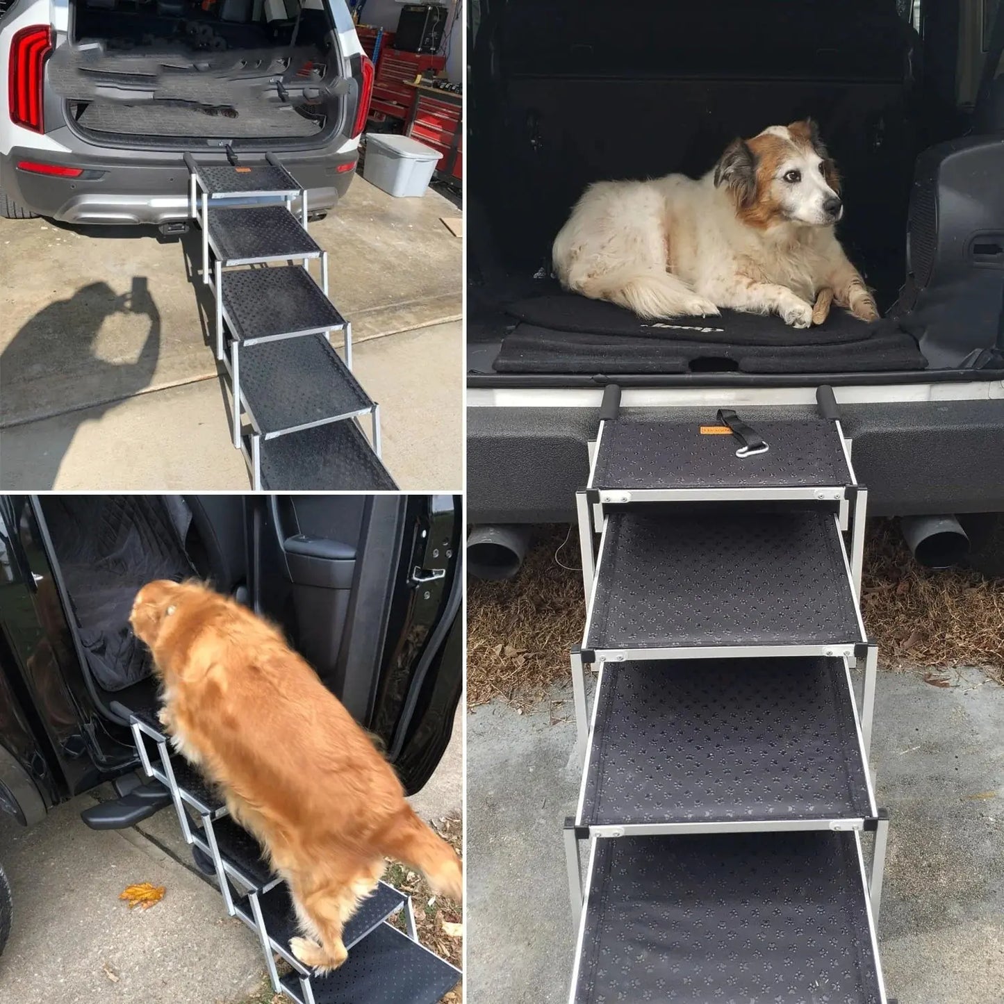 Foldable Dog Ladder