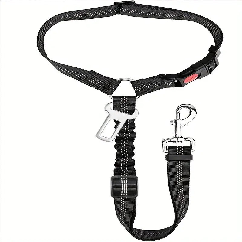 Nylon Dog Leash with Metal Buckle