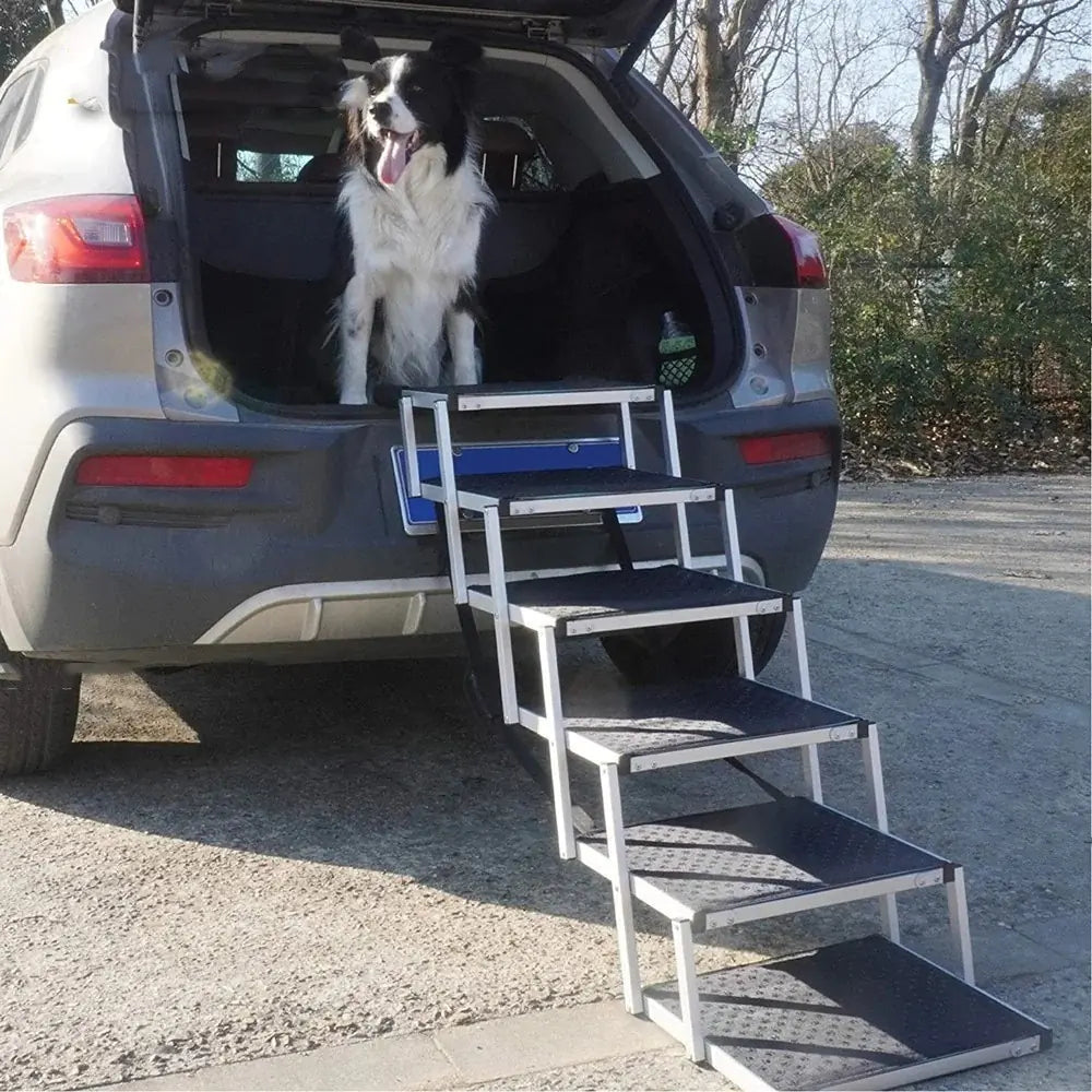 Foldable Dog Ladder