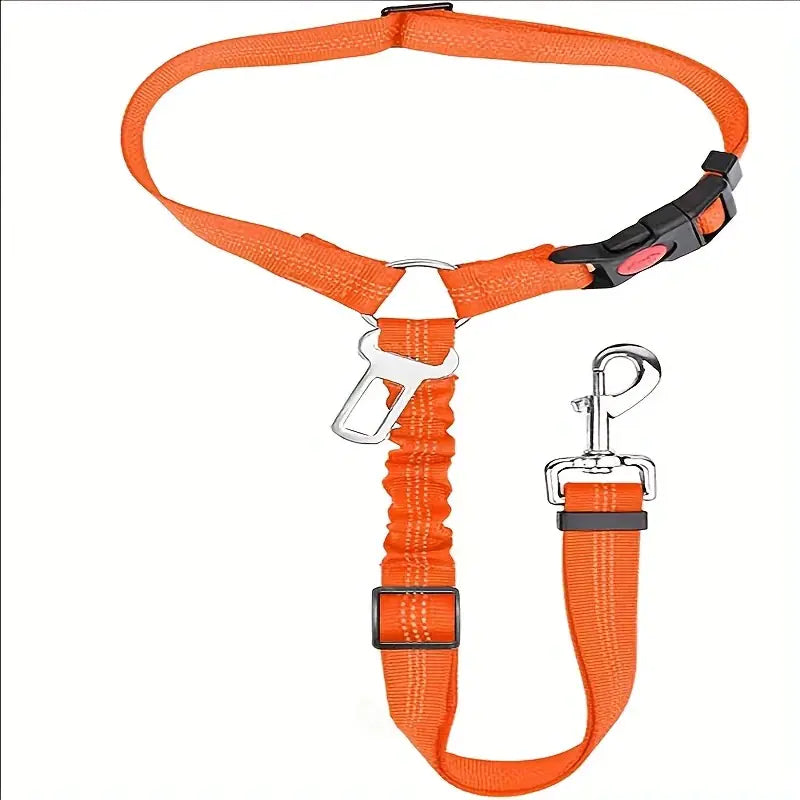 Nylon Dog Leash with Metal Buckle