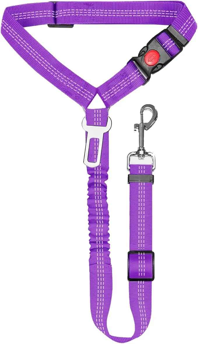 Nylon Dog Leash with Metal Buckle