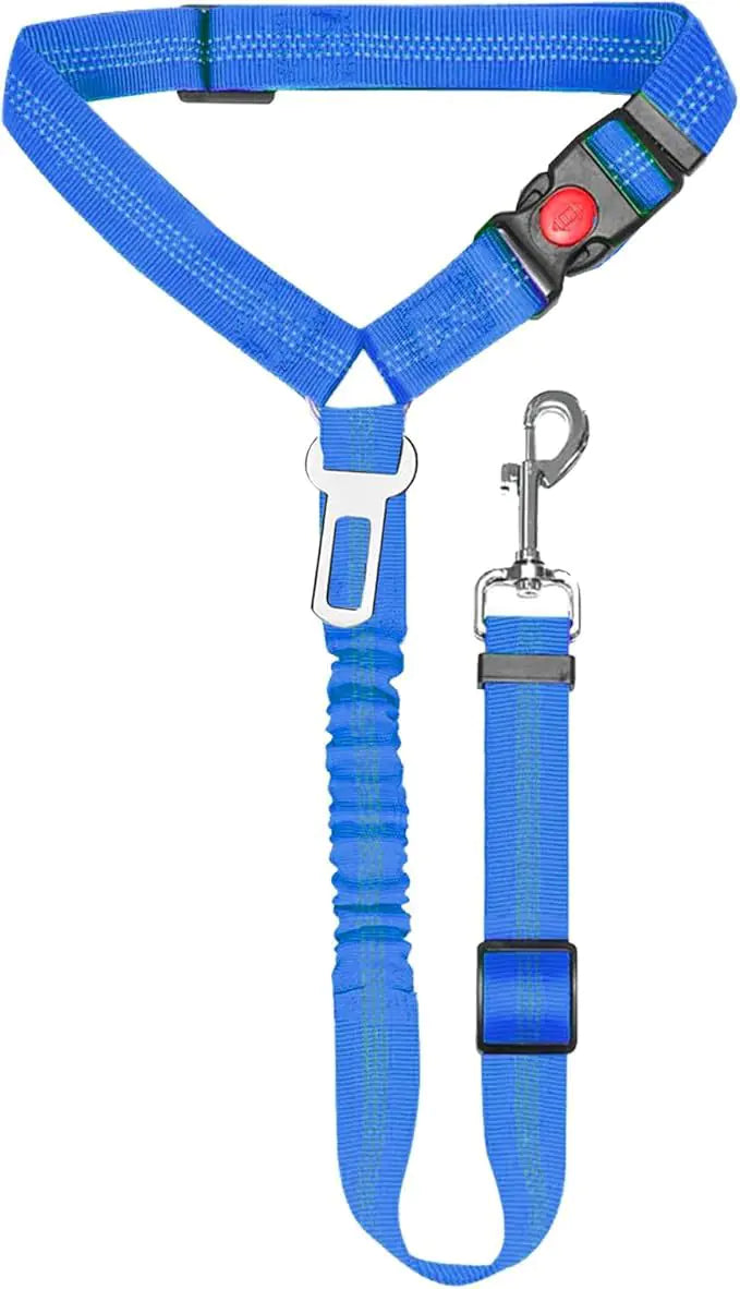 Nylon Dog Leash with Metal Buckle