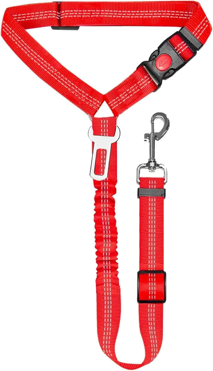 Nylon Dog Leash with Metal Buckle