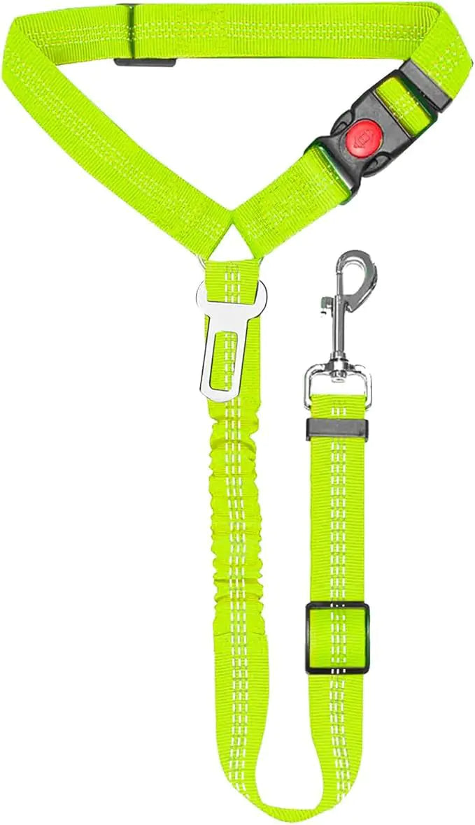 Nylon Dog Leash with Metal Buckle