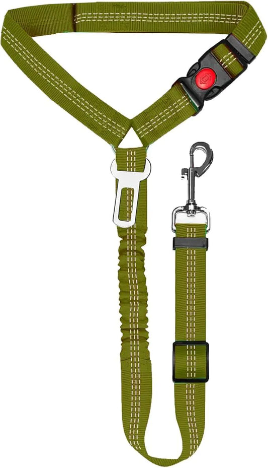 Nylon Dog Leash with Metal Buckle