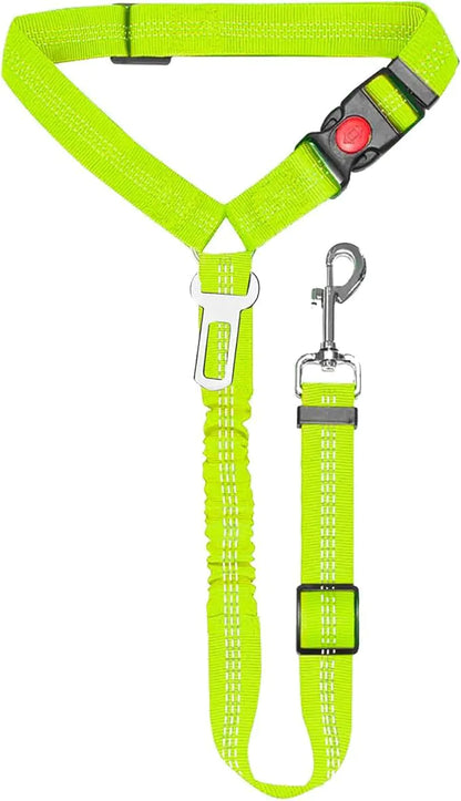 Nylon Dog Leash with Metal Buckle